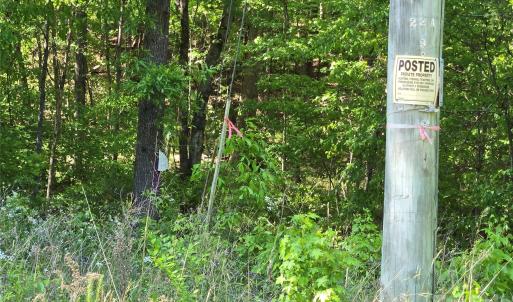 Photo #11 of Blaine, Badin Lake, NC