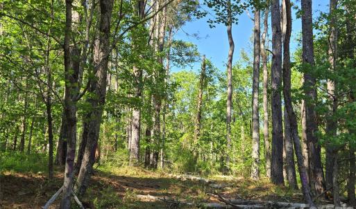 Photo #6 of Blaine, Badin Lake, NC