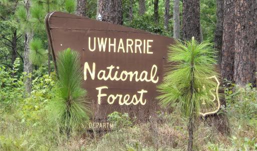 Photo #15 of Blaine, Badin Lake, NC