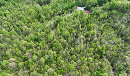 Photo #13 of Blackwelder, Salisbury, NC