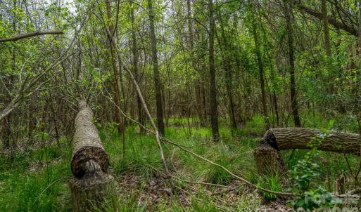 Photo #9 of Blackwelder, Salisbury, NC