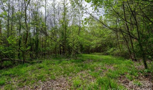 Photo #10 of Blackwelder, Salisbury, NC