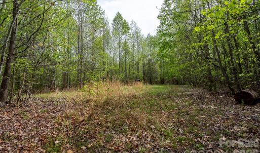 Photo #4 of Blackwelder, Salisbury, NC