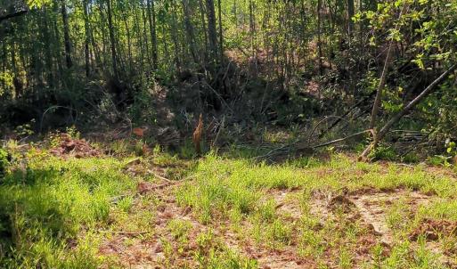 Photo #14 of 808 Neely, Asheboro, NC