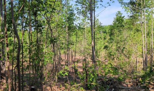 Photo #11 of 808 Neely, Asheboro, NC