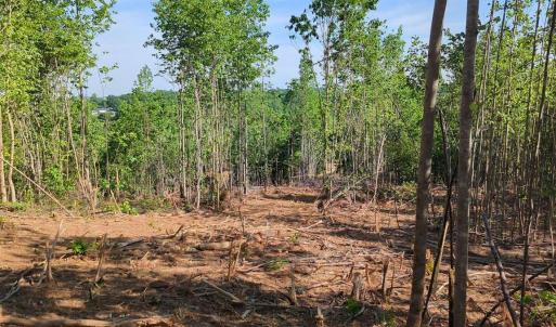 Photo #18 of 808 Neely, Asheboro, NC