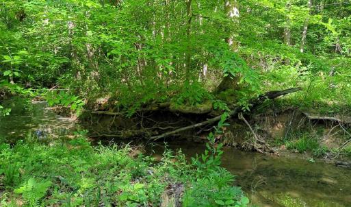 Photo #15 of 808 Neely, Asheboro, NC