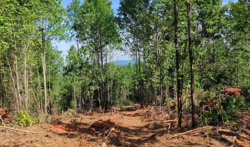 Photo #6 of 808 Neely, Asheboro, NC