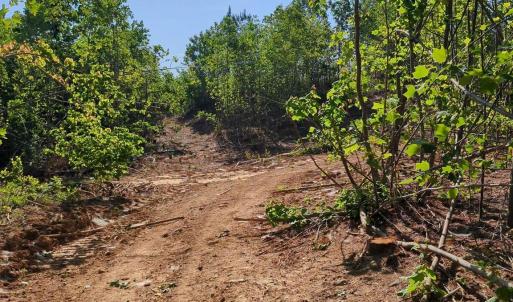 Photo #17 of 808 Neely, Asheboro, NC