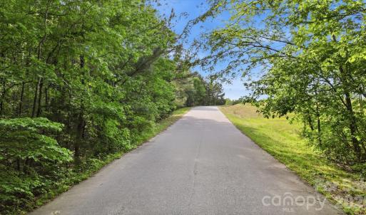 Photo #3 of Mollie Irene, Matthews, NC