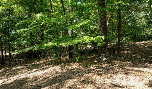 Photo #20 of 2586 Holbrook, Fort Mill, SC