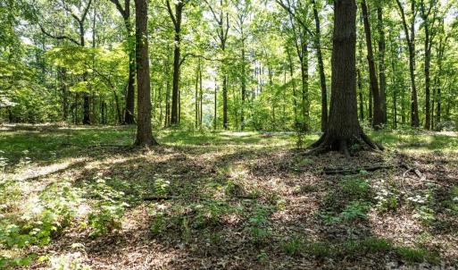 Photo #16 of 2586 Holbrook, Fort Mill, SC