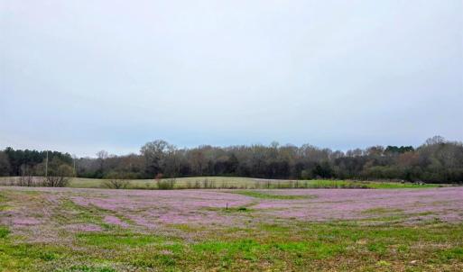 Photo #2 of 24013 NC 138 HWY, Albemarle, NC