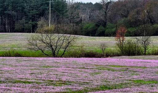 Photo #3 of 24013 NC 138 HWY, Albemarle, NC