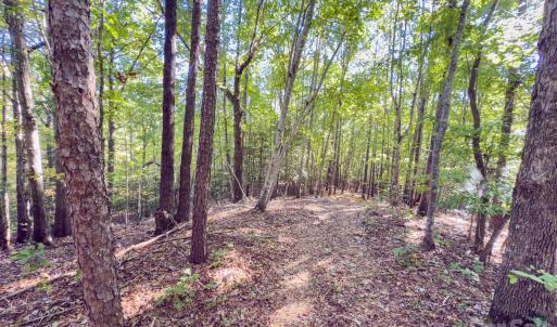 Photo #27 of Hwy 731, Candor, NC