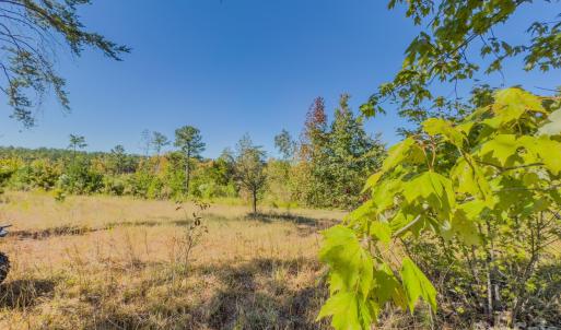 Photo #33 of Hwy 731, Candor, NC