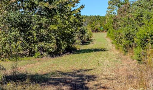 Photo #44 of Hwy 731, Candor, NC