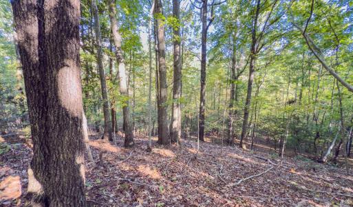 Photo #26 of Hwy 731, Candor, NC