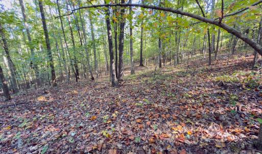 Photo #32 of Hwy 731, Candor, NC