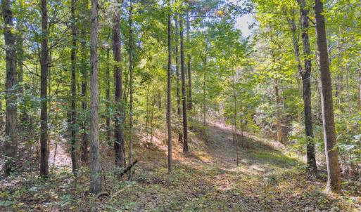 Photo #17 of Hwy 731, Candor, NC