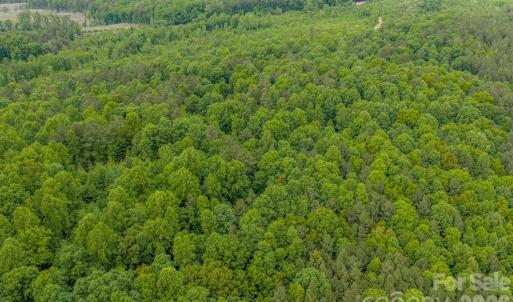 Photo #29 of Hwy 731, Candor, NC