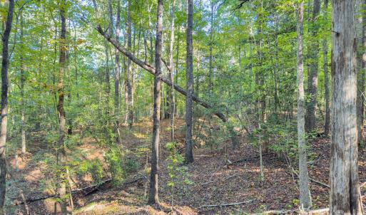 Photo #12 of Hwy 731, Candor, NC