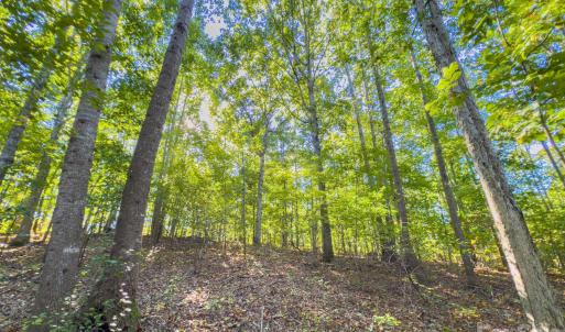 Photo #41 of Hwy 731, Candor, NC