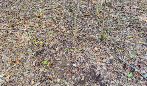 Photo #20 of Hwy 731, Candor, NC