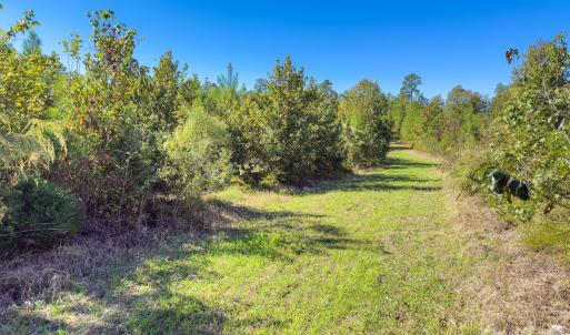 Photo #5 of Hwy 731, Candor, NC