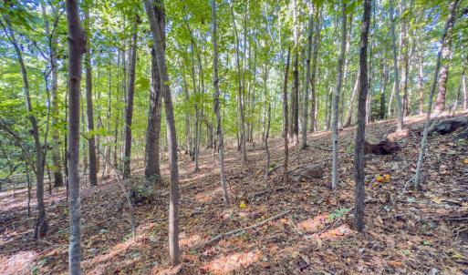 Photo #25 of Hwy 731, Candor, NC