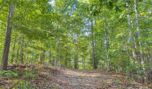 Photo #34 of Hwy 731, Candor, NC