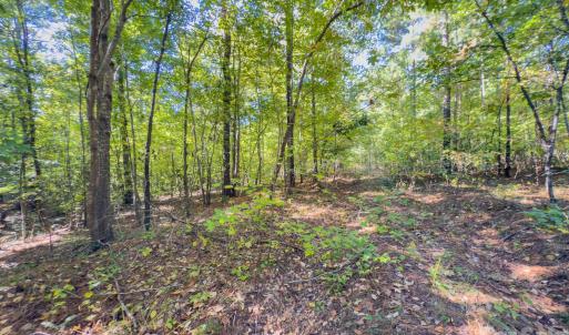 Photo #6 of Hwy 731, Candor, NC