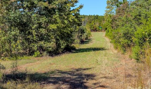 Photo #43 of Hwy 731, Candor, NC