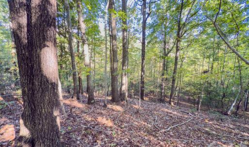 Photo #25 of Hwy 731, Candor, NC