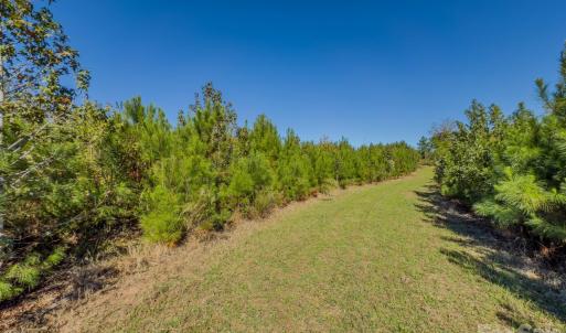 Photo #42 of Hwy 731, Candor, NC