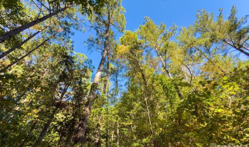 Photo #10 of Hwy 731, Candor, NC