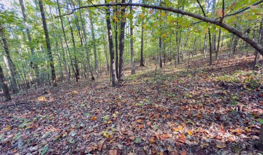 Photo #31 of Hwy 731, Candor, NC