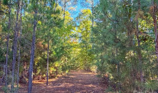 Photo #9 of Hwy 731, Candor, NC