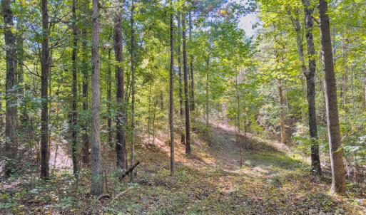 Photo #16 of Hwy 731, Candor, NC