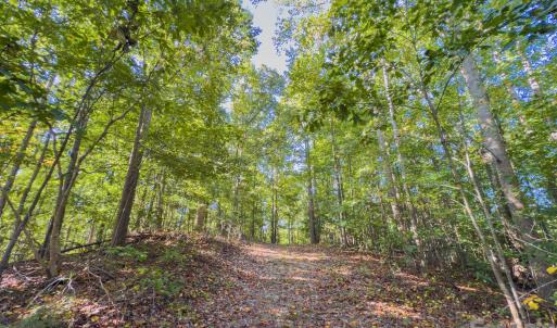 Photo #23 of Hwy 731, Candor, NC