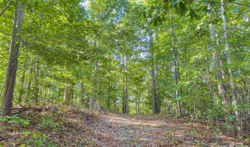 Photo #33 of Hwy 731, Candor, NC