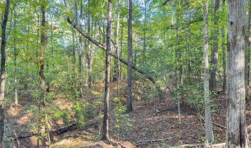 Photo #11 of Hwy 731, Candor, NC