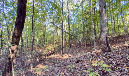 Photo #38 of Hwy 731, Candor, NC