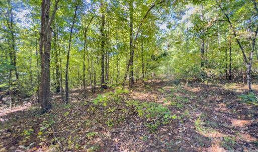 Photo #5 of Hwy 731, Candor, NC