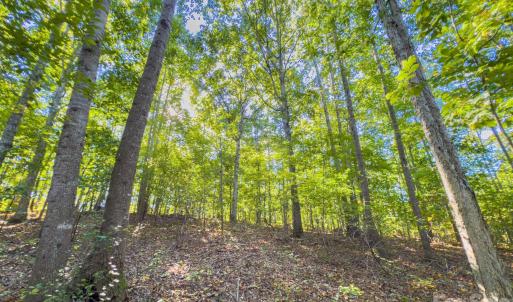 Photo #40 of Hwy 731, Candor, NC