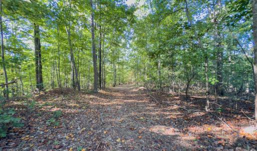 Photo #41 of Hwy 731, Candor, NC