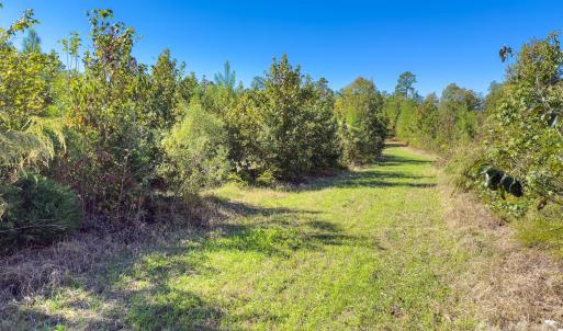 Photo #4 of Hwy 731, Candor, NC
