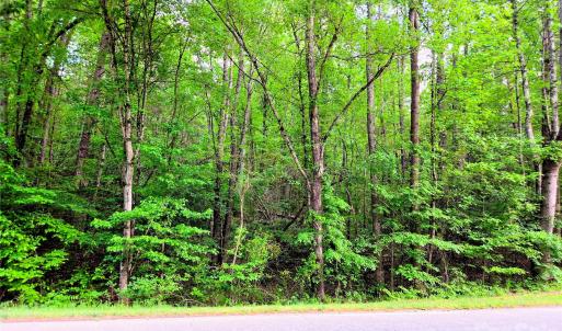 Photo #5 of VAC Stony Gap, Albemarle, NC