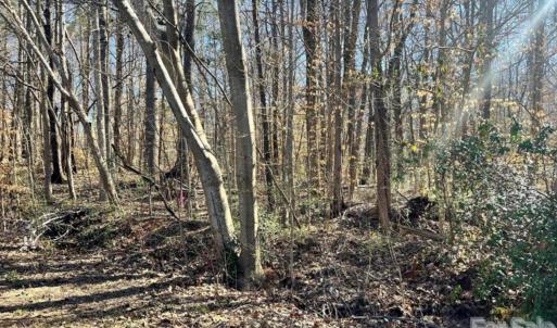 Photo #1 of 02 Lurecliff, Fort Mill, SC