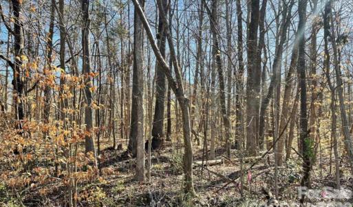 Photo #2 of 02 Lurecliff, Fort Mill, SC